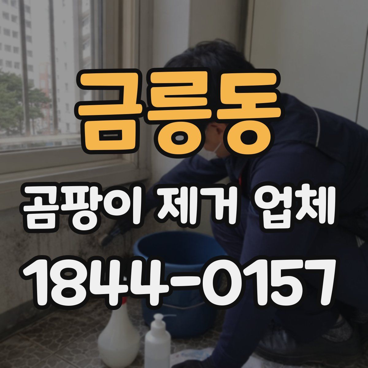 금릉동 곰팡이 제거 업체