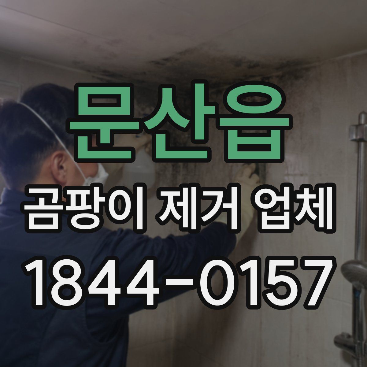 문산읍 곰팡이 제거 업체