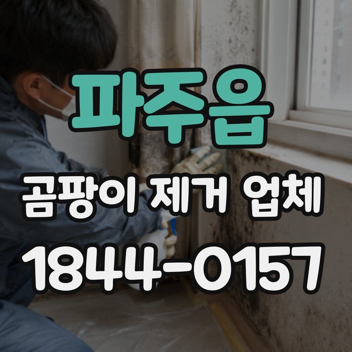 파주읍 곰팡이 제거 업체 벽지 뒤 오염 가능성을 확인하는 체크리스트