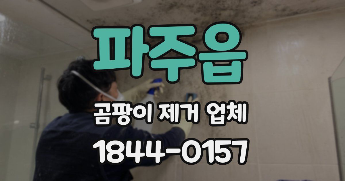 파주읍 곰팡이 제거 업체