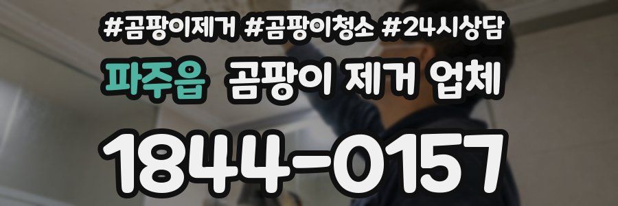 파주읍 곰팡이 제거 업체