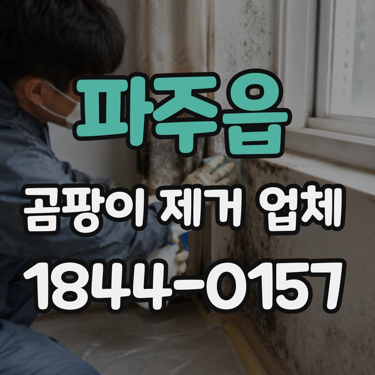 파주읍 곰팡이 제거 업체