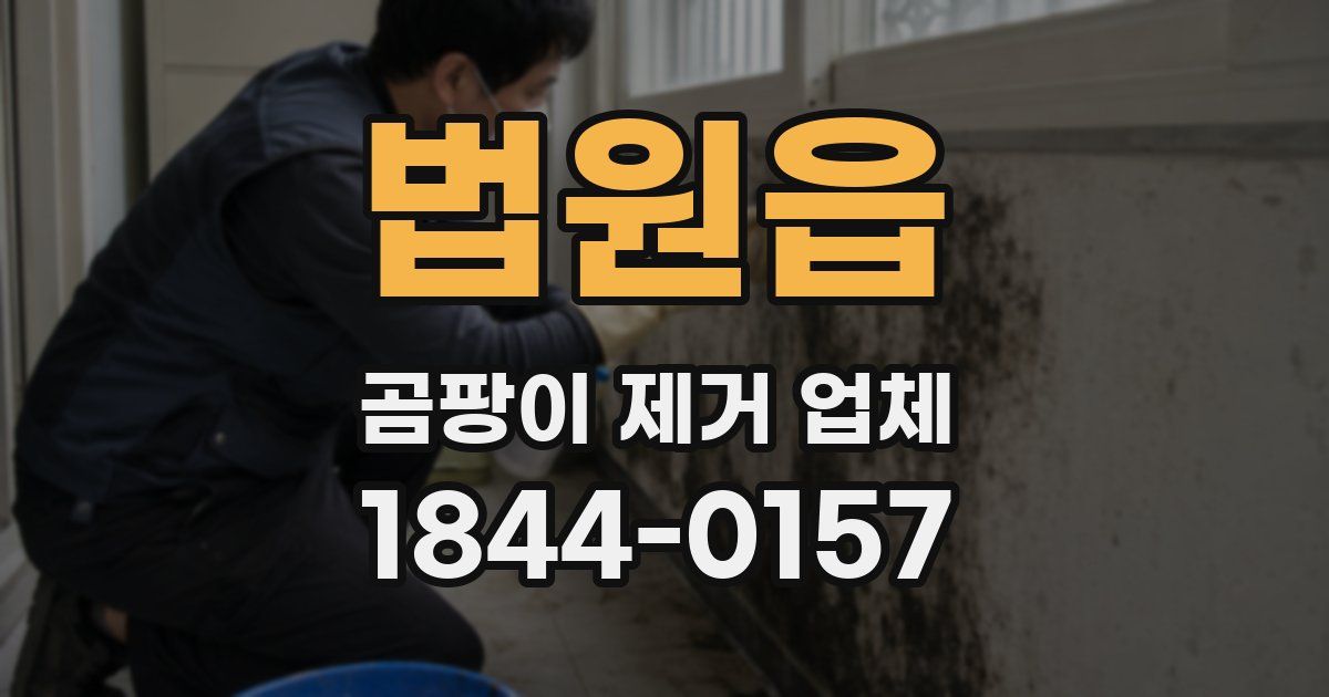 법원읍 곰팡이 제거 업체