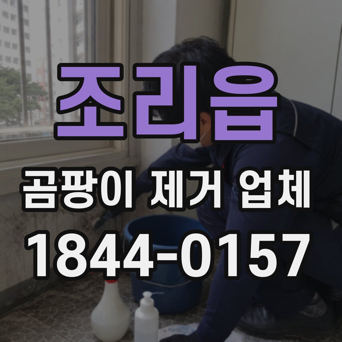 조리읍 곰팡이 제거 업체