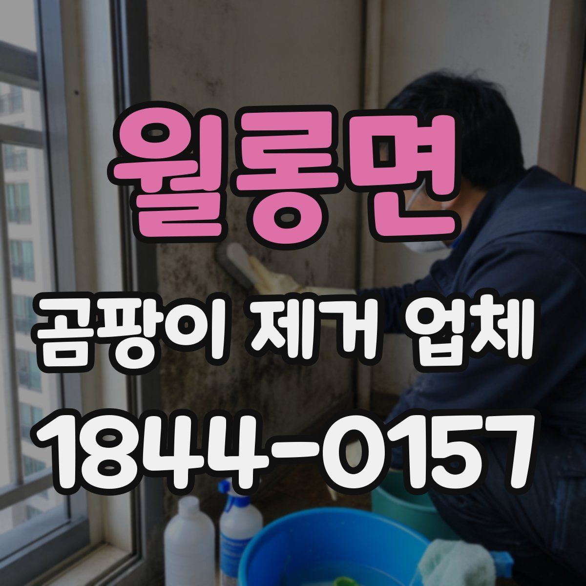월롱면 곰팡이 제거 업체