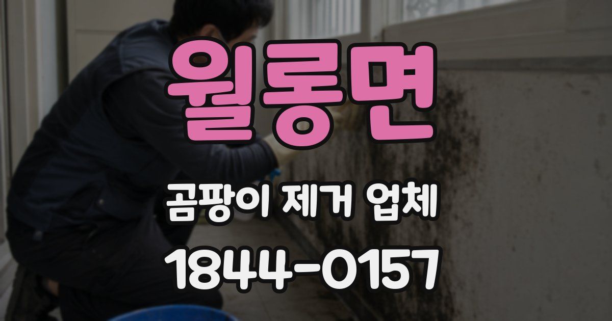 월롱면 곰팡이 제거 업체