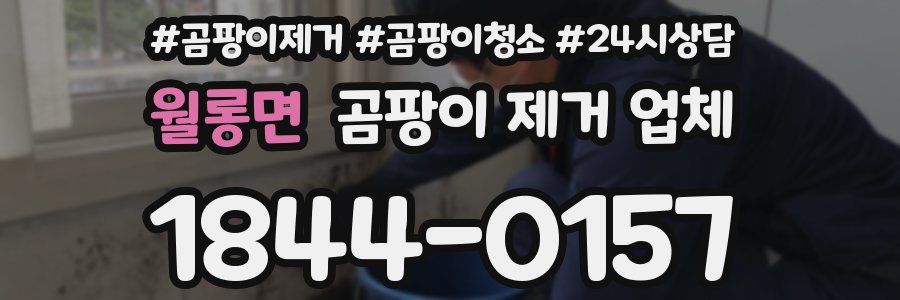 월롱면 곰팡이 제거 업체
