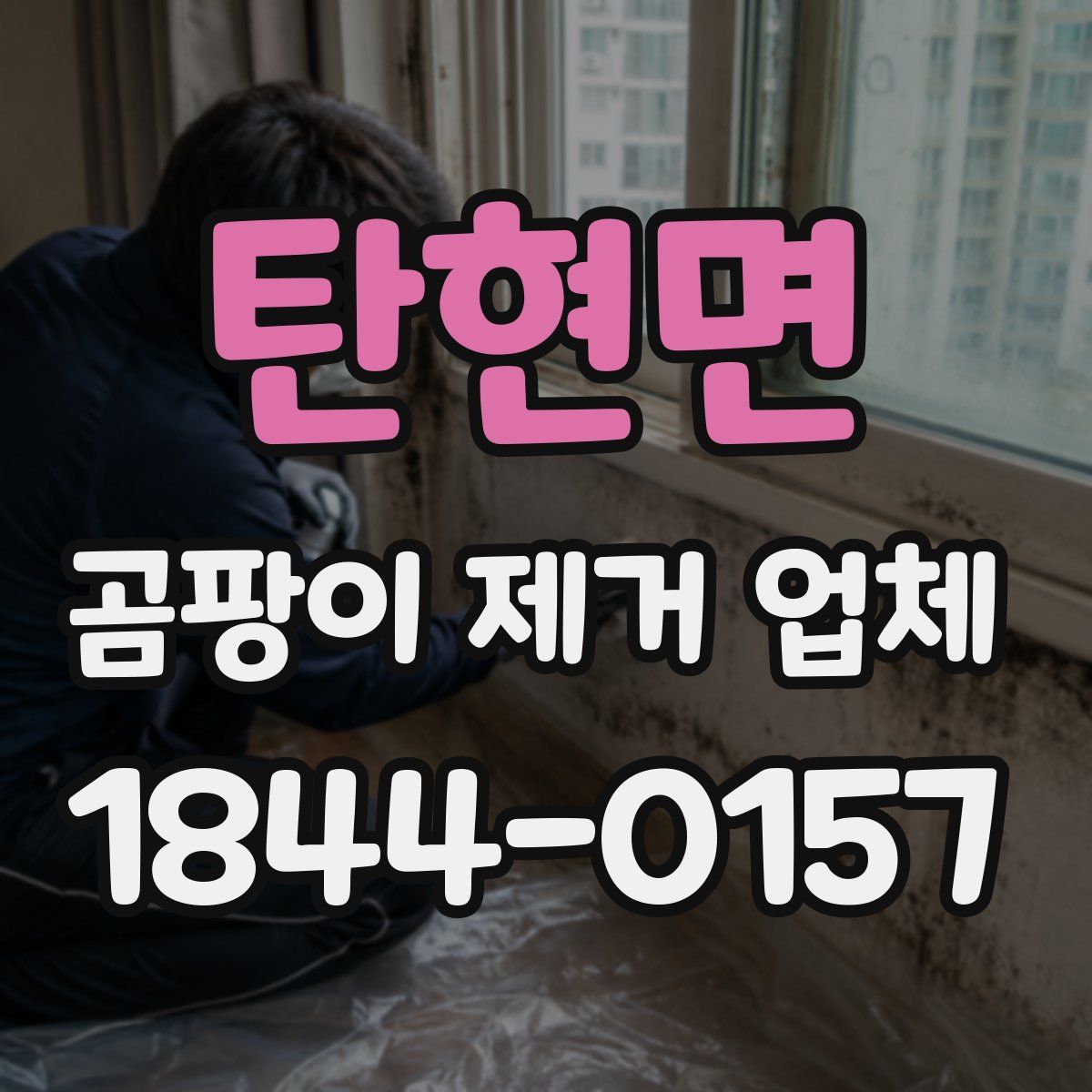 탄현면 곰팡이 제거 업체