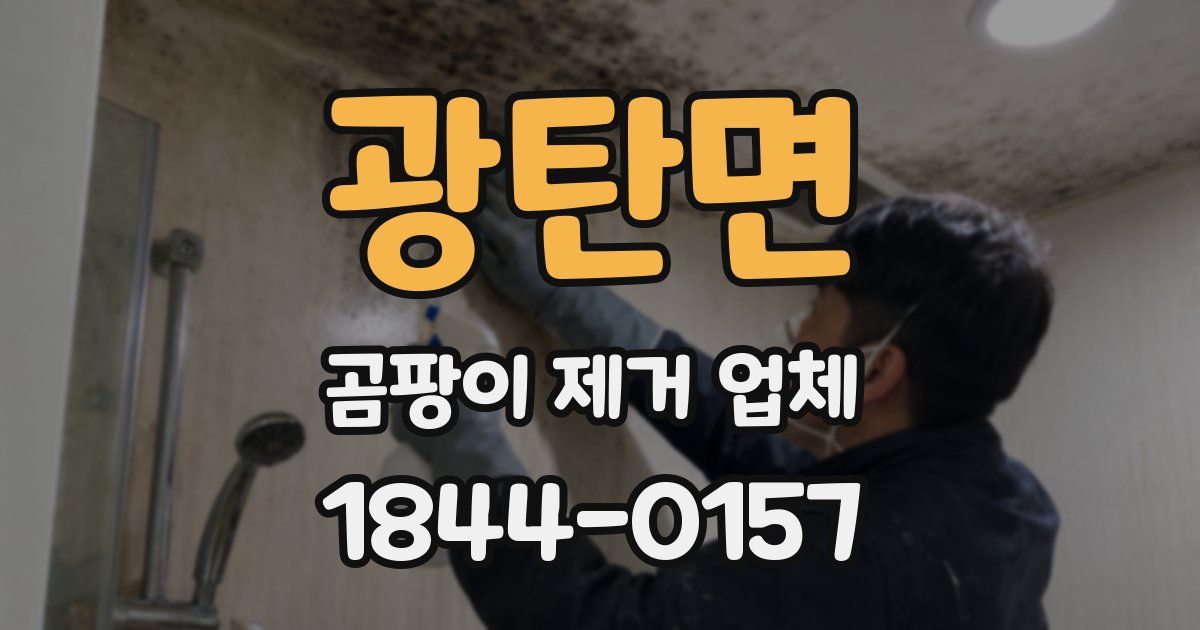 광탄면 곰팡이 제거 업체