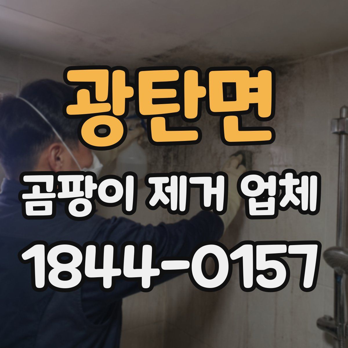 광탄면 곰팡이 제거 업체