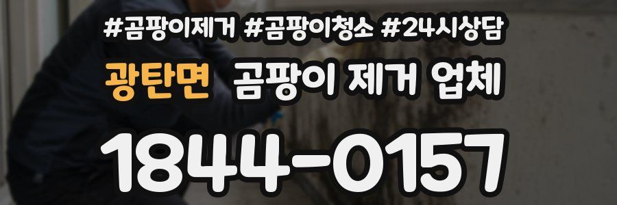 광탄면 곰팡이 제거 업체