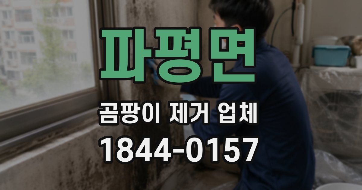 파평면 곰팡이 제거 업체