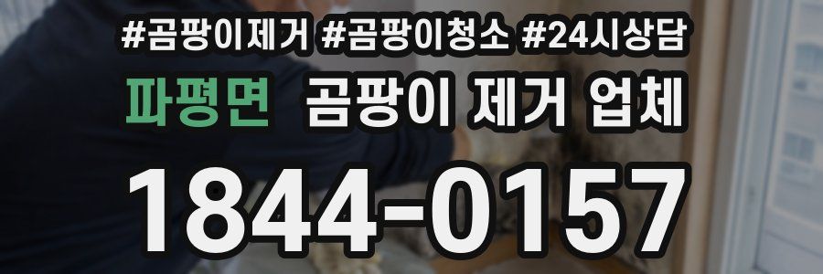 파평면 곰팡이 제거 업체