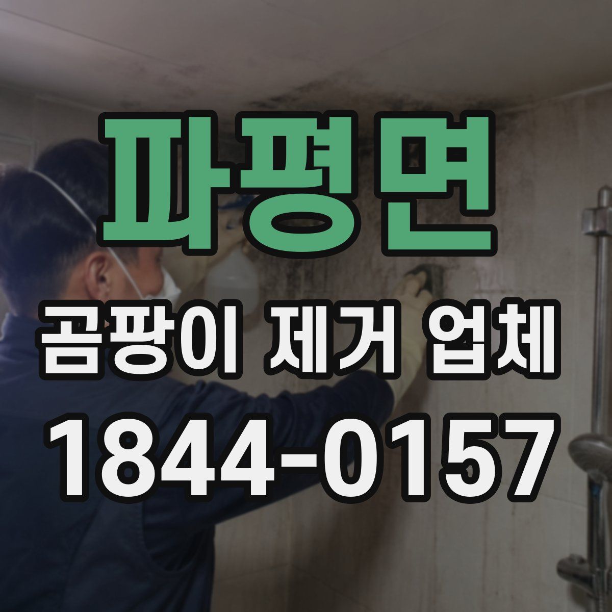 파평면 곰팡이 제거 업체
