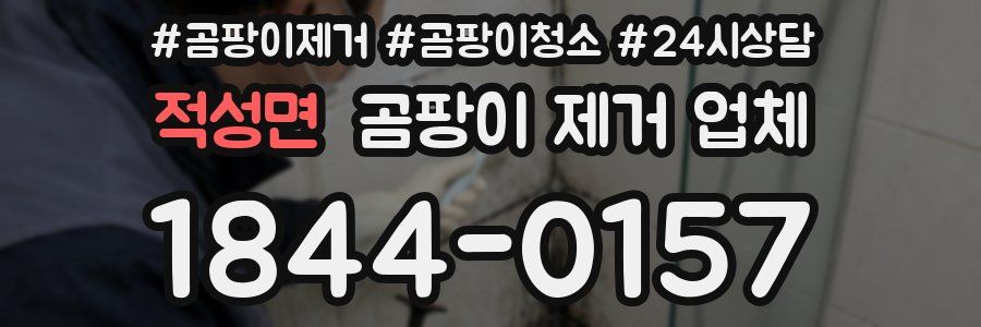 적성면 곰팡이 제거 업체