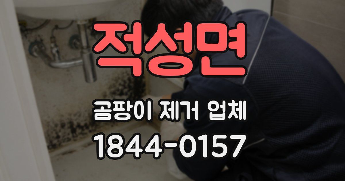 적성면 곰팡이 제거 업체