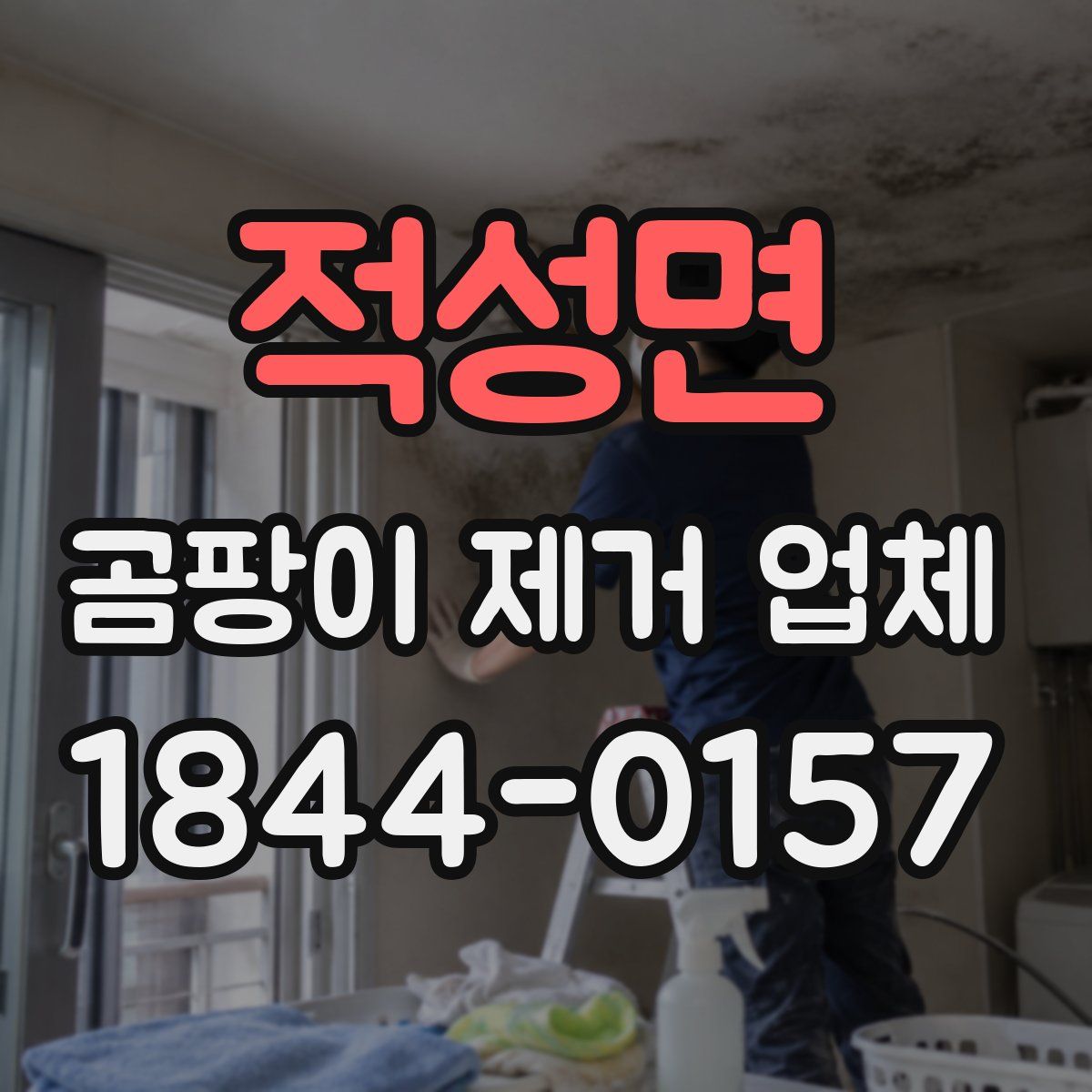 적성면 곰팡이 제거 업체