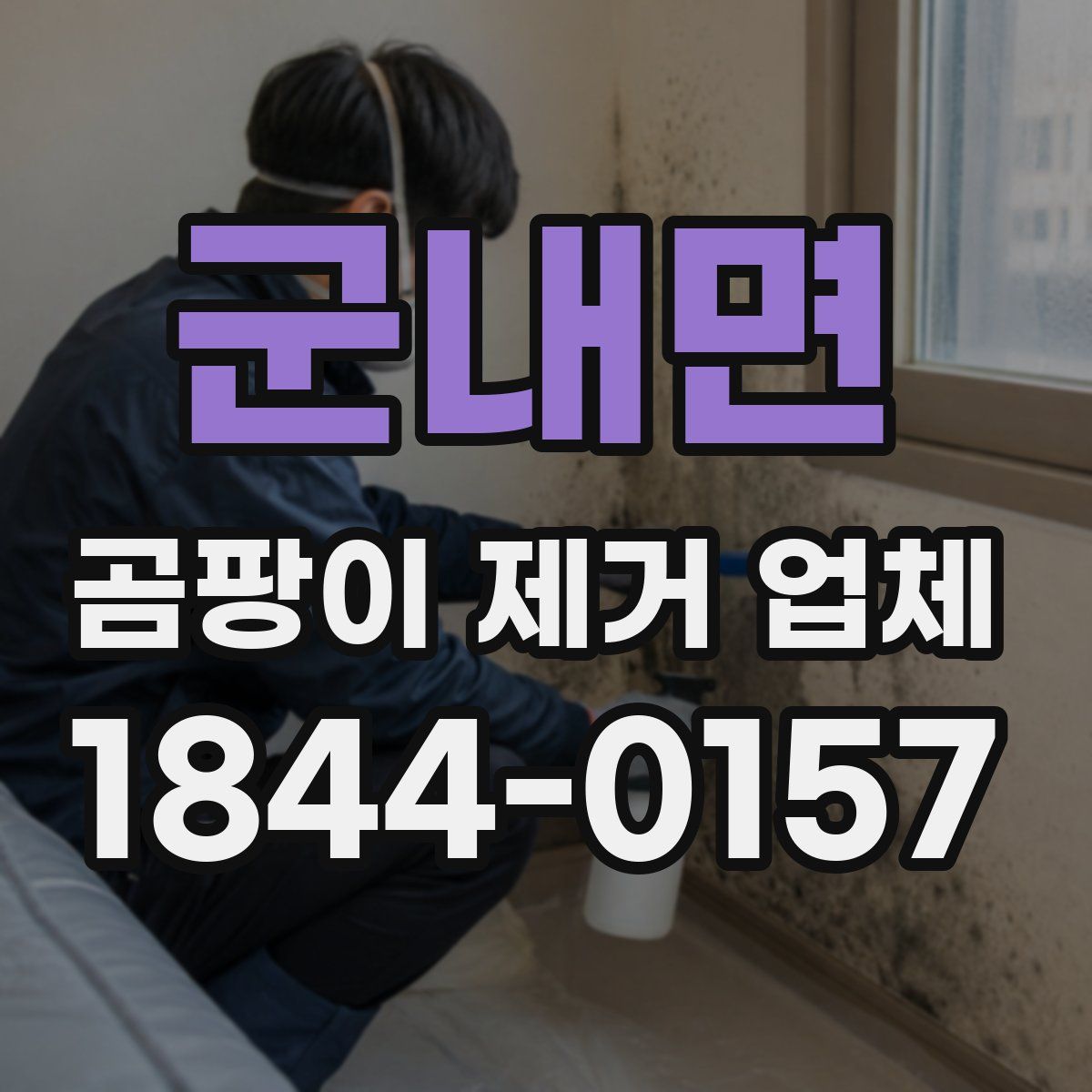 군내면 곰팡이 제거 업체