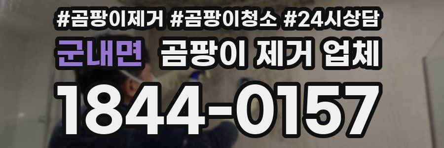 군내면 곰팡이 제거 업체