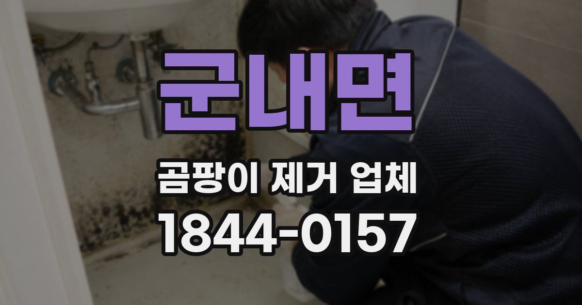 군내면 곰팡이 제거 업체