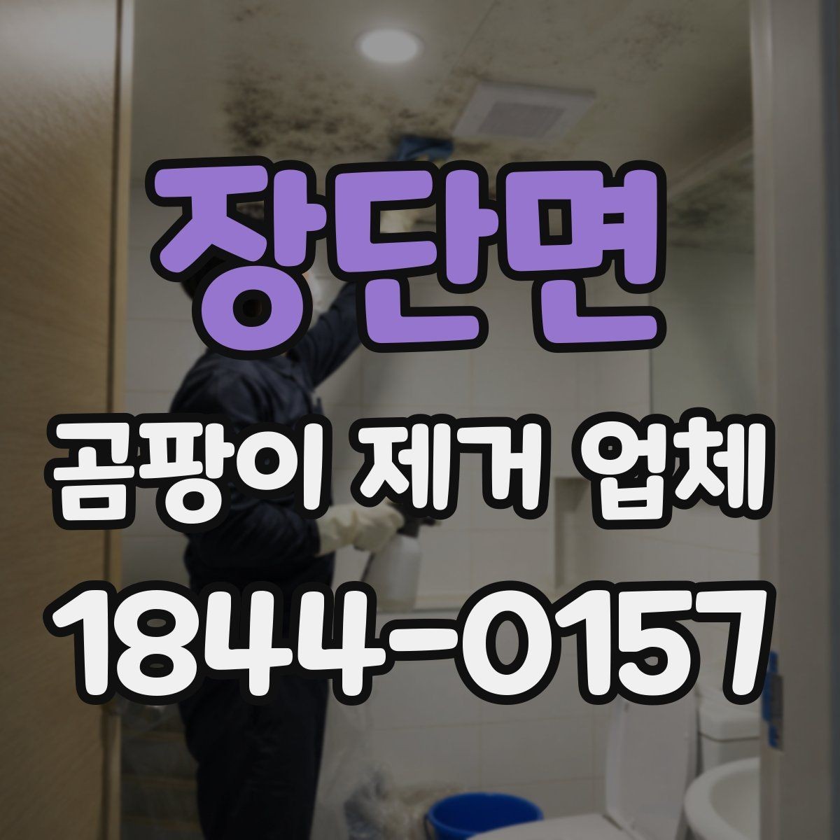 장단면 곰팡이 제거 업체 표면 정리와 내부 오염 진단을 함께 보는 이유