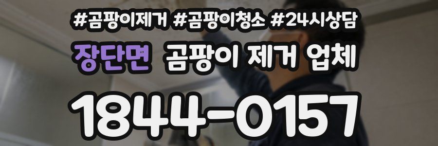 장단면 곰팡이 제거 업체