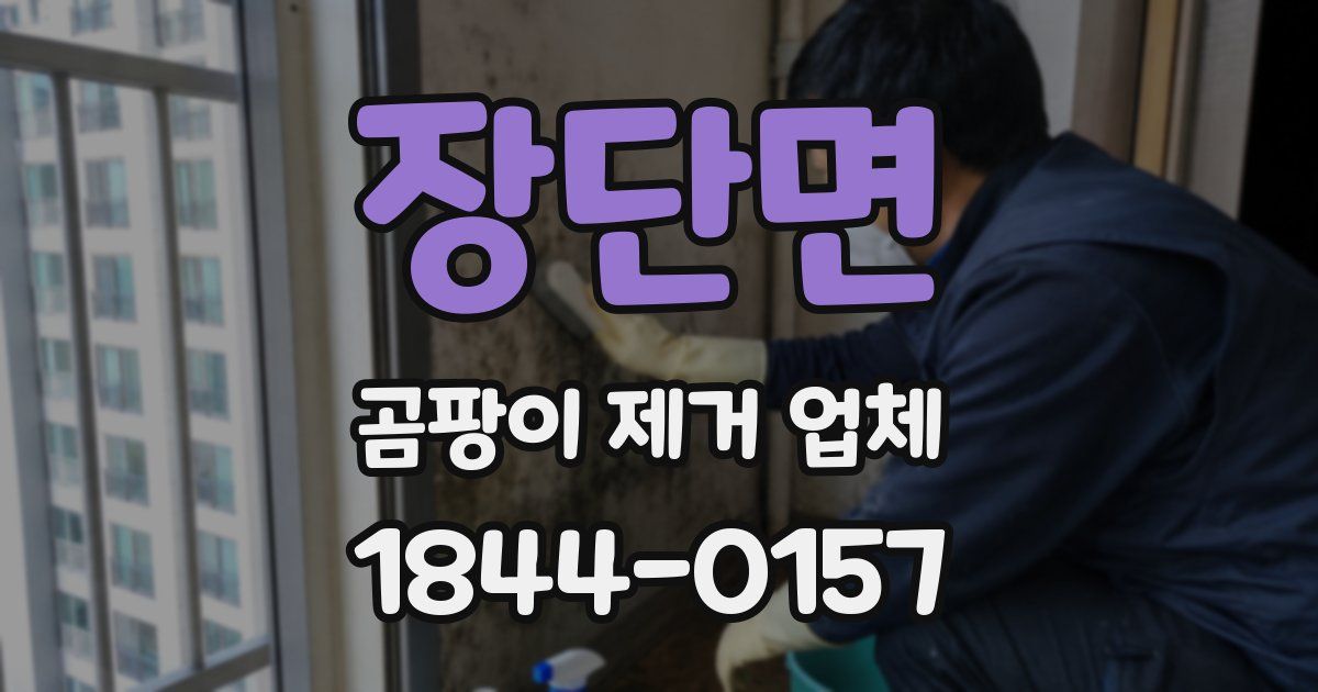 장단면 곰팡이 제거 업체