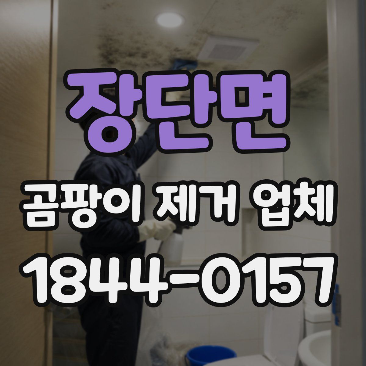 장단면 곰팡이 제거 업체