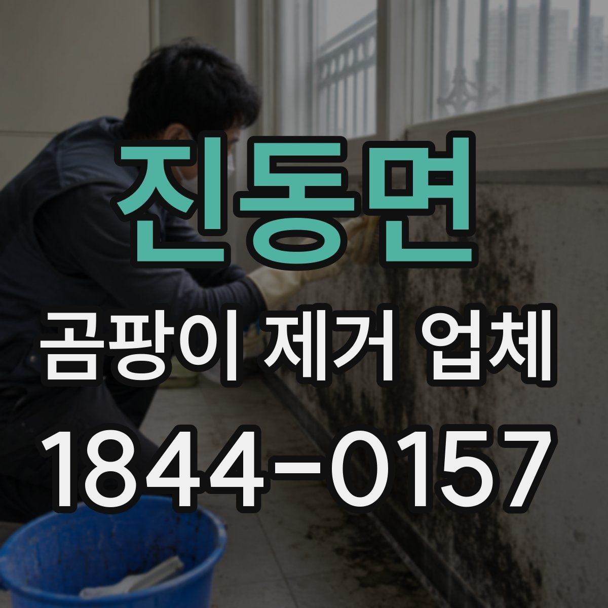 진동면 곰팡이 제거 업체 창틀 주변 번짐 경로를 확인하는 법