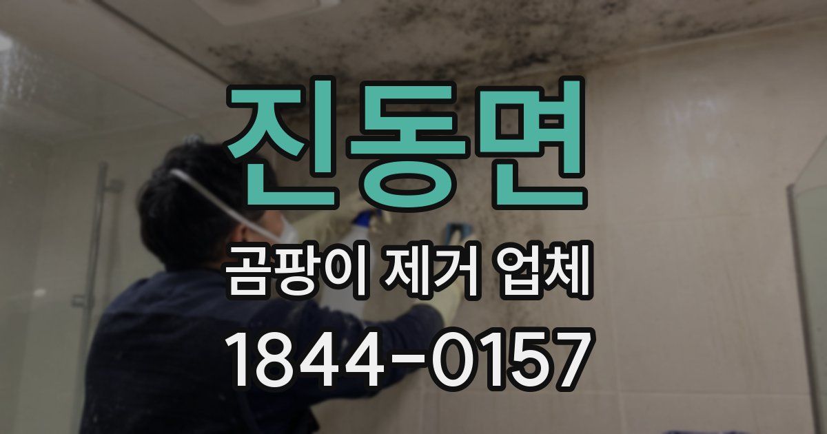 진동면 곰팡이 제거 업체