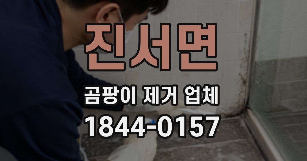 진서면 곰팡이 제거 업체