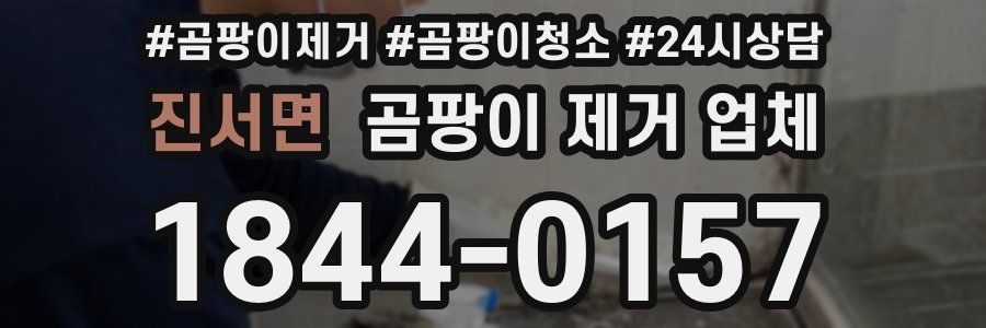 진서면 곰팡이 제거 업체