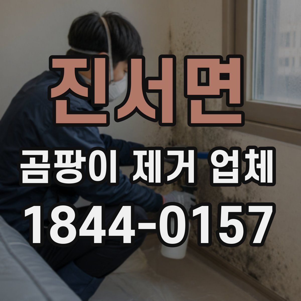 진서면 곰팡이 제거 업체