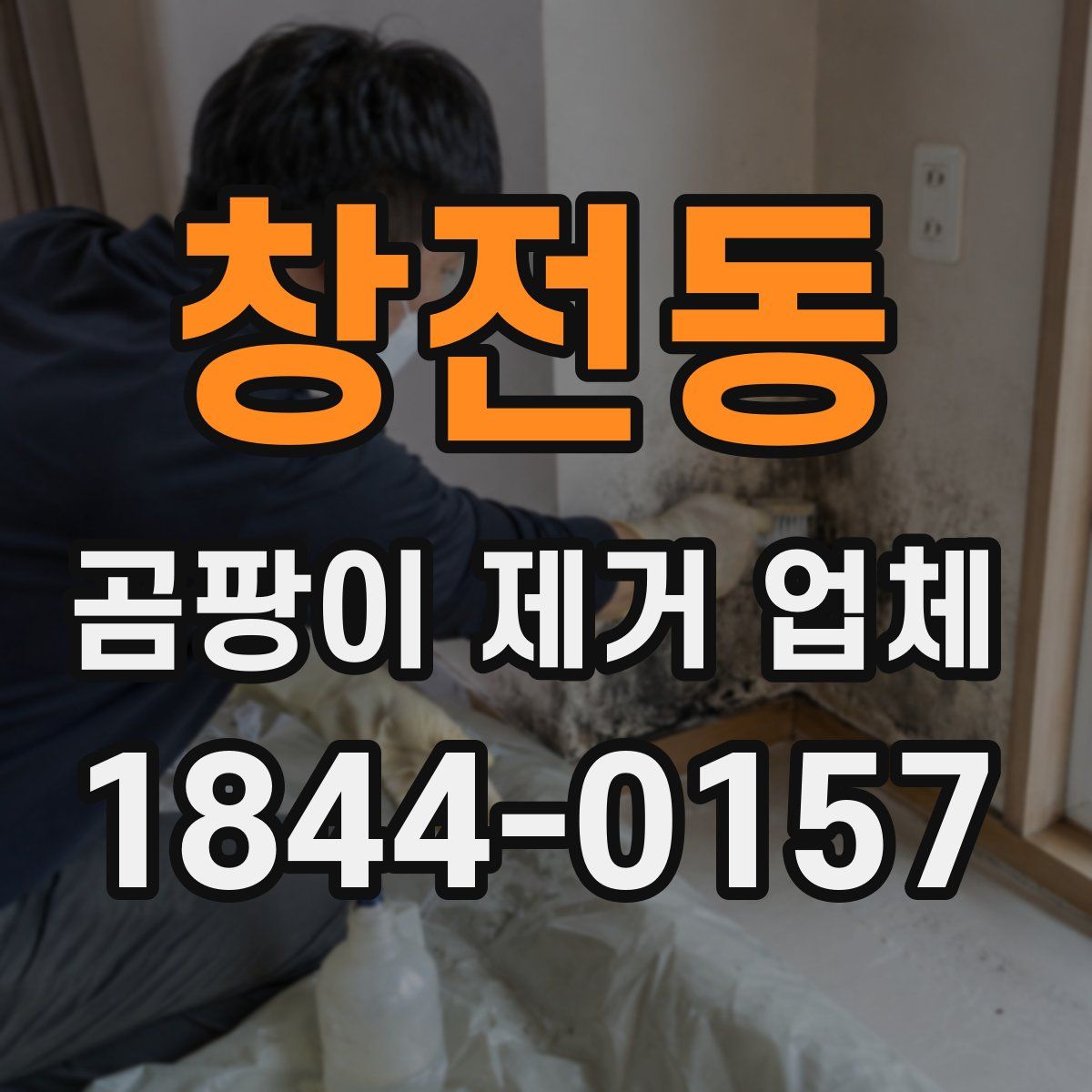 창전동 곰팡이 제거 업체