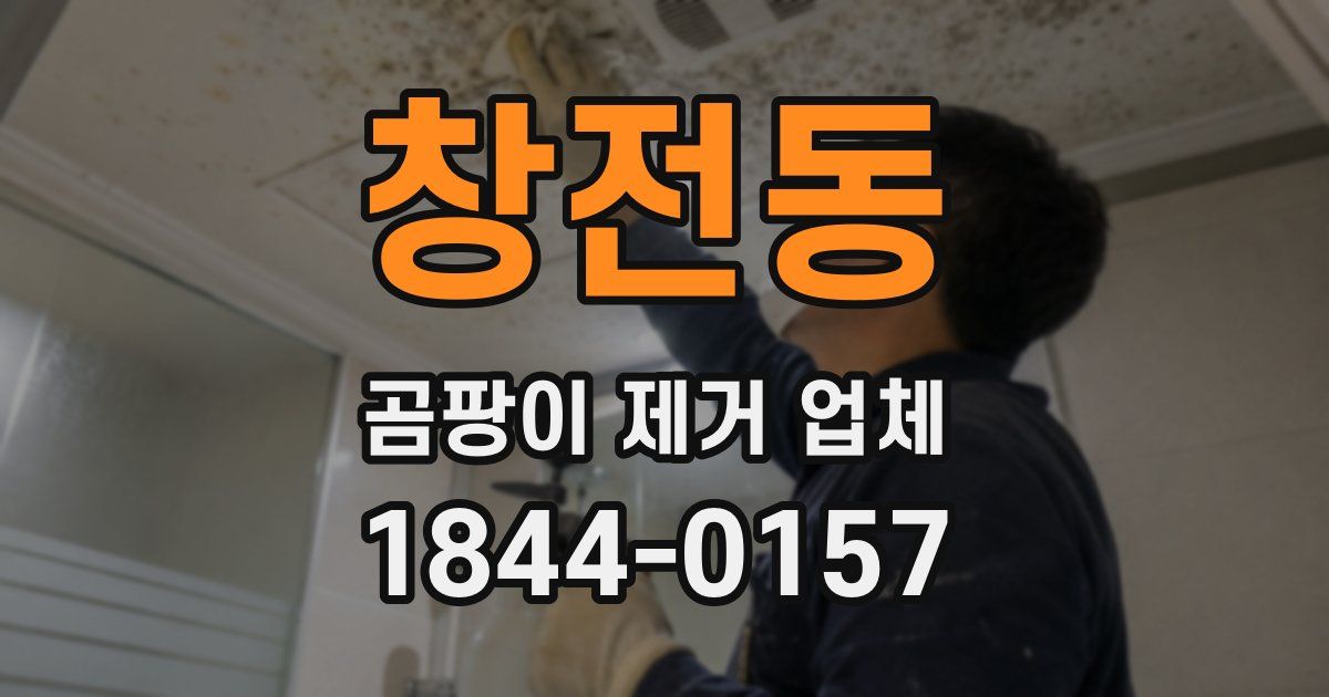 창전동 곰팡이 제거 업체