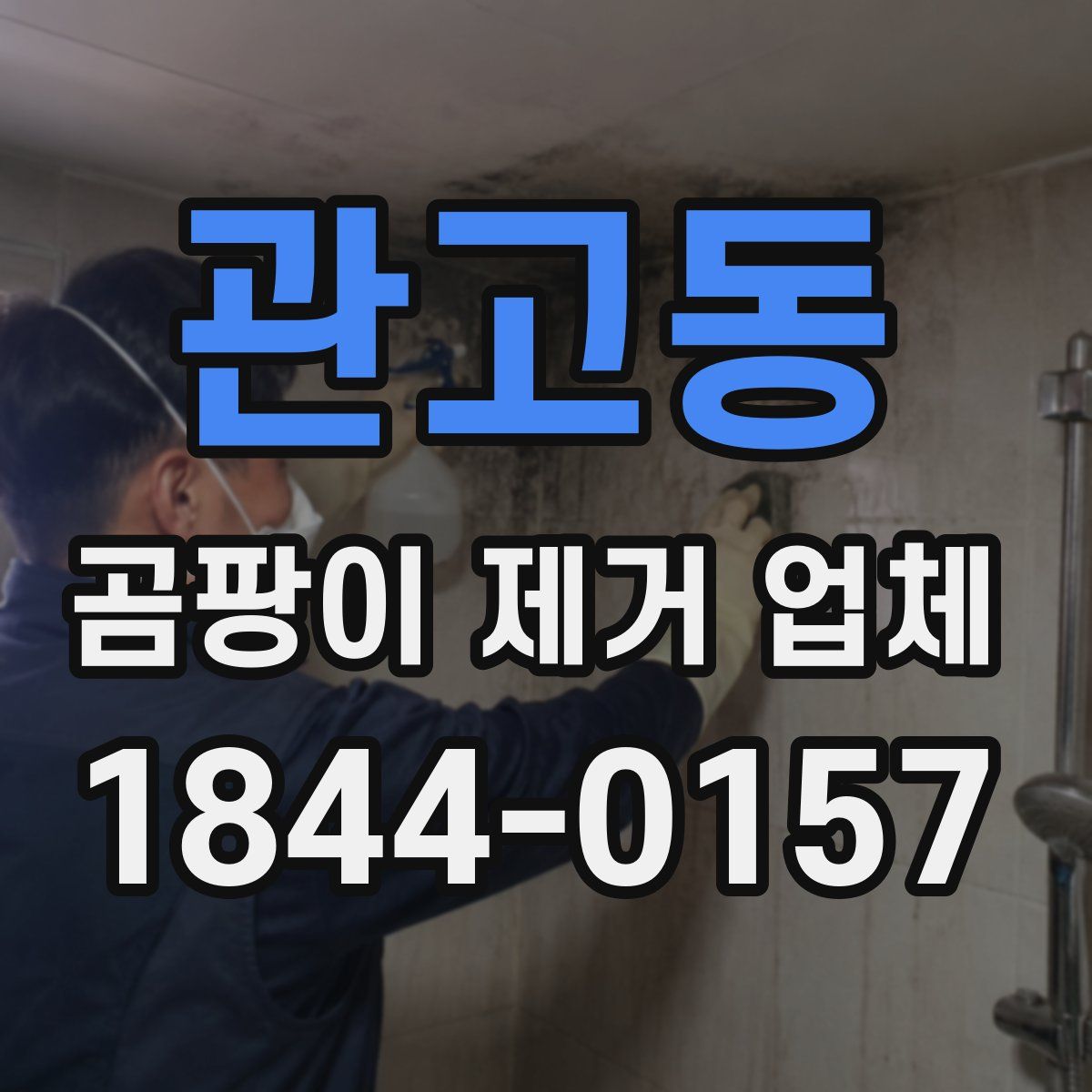 관고동 곰팡이 제거 업체