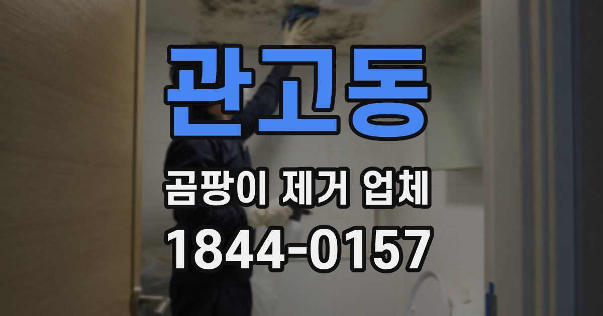 관고동 곰팡이 제거 업체