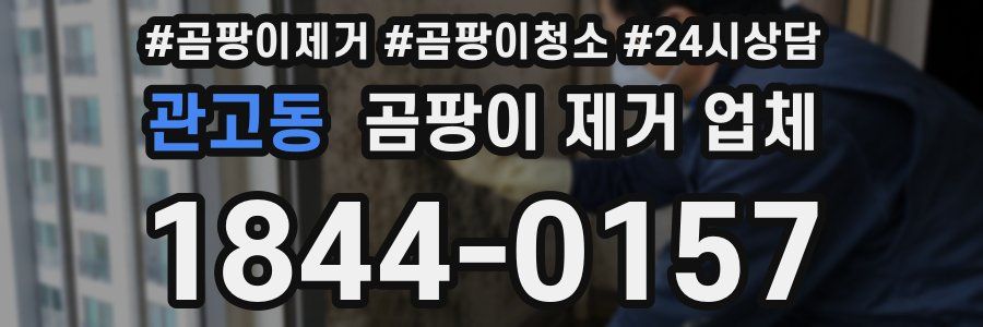 관고동 곰팡이 제거 업체