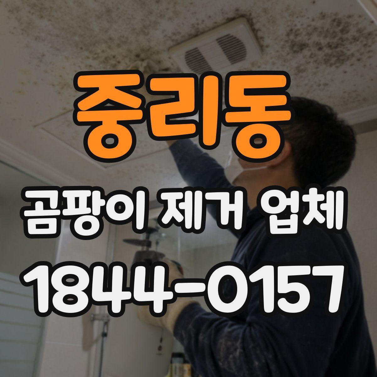 중리동 곰팡이 제거 업체