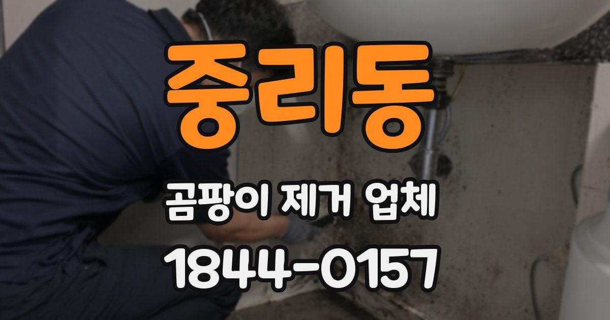 중리동 곰팡이 제거 업체