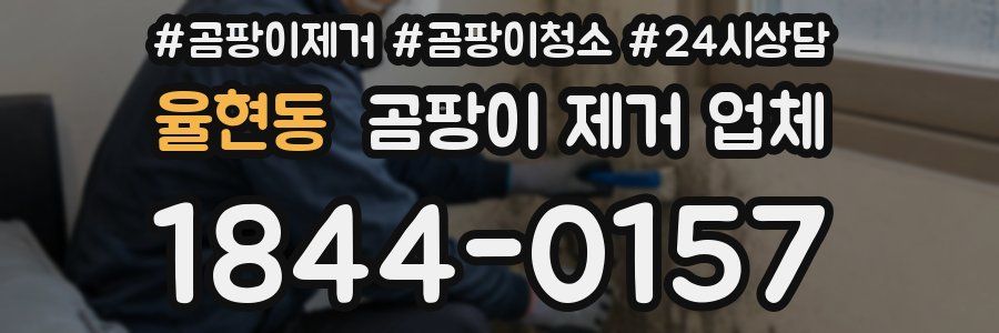 율현동 곰팡이 제거 업체