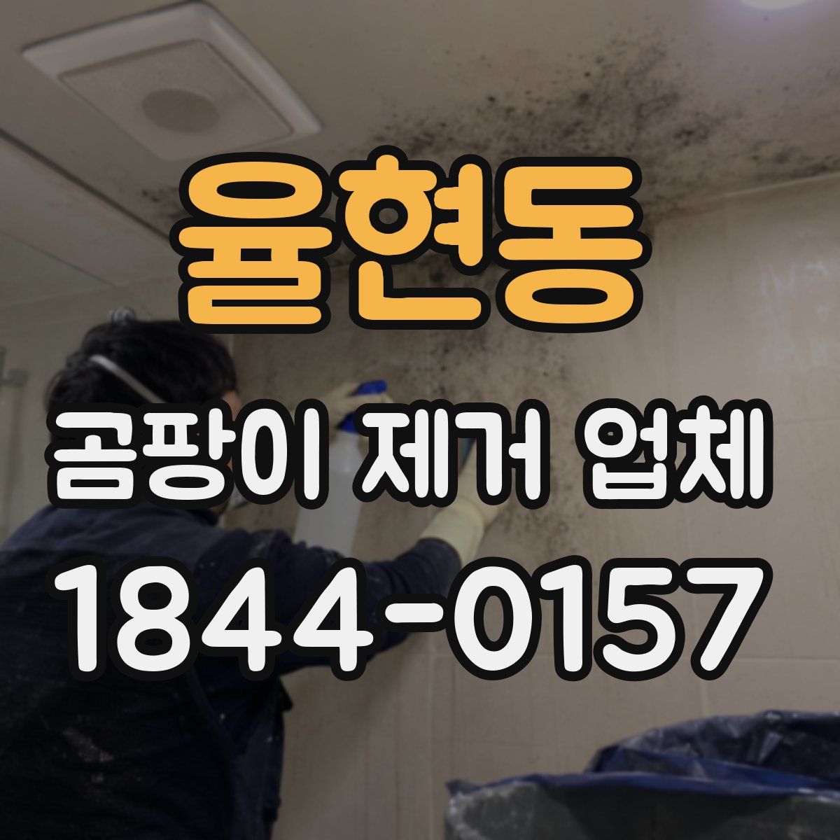 율현동 곰팡이 제거 업체