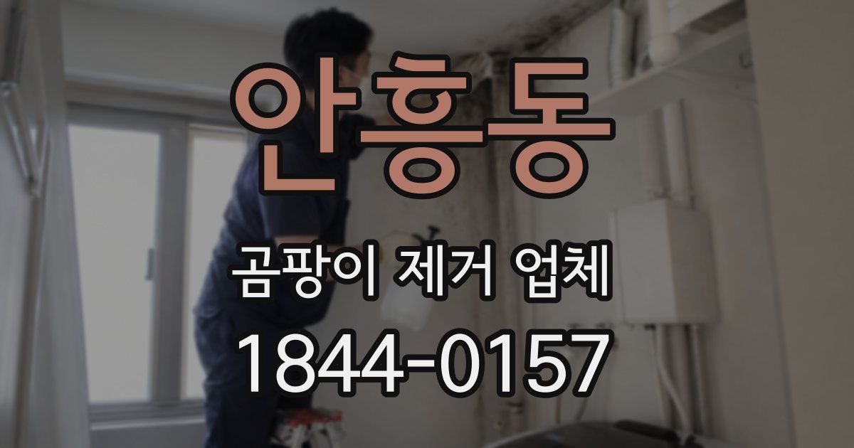 안흥동 곰팡이 제거 업체