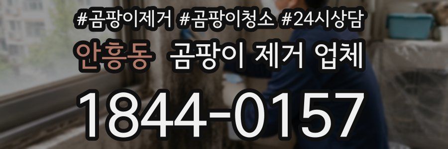 안흥동 곰팡이 제거 업체