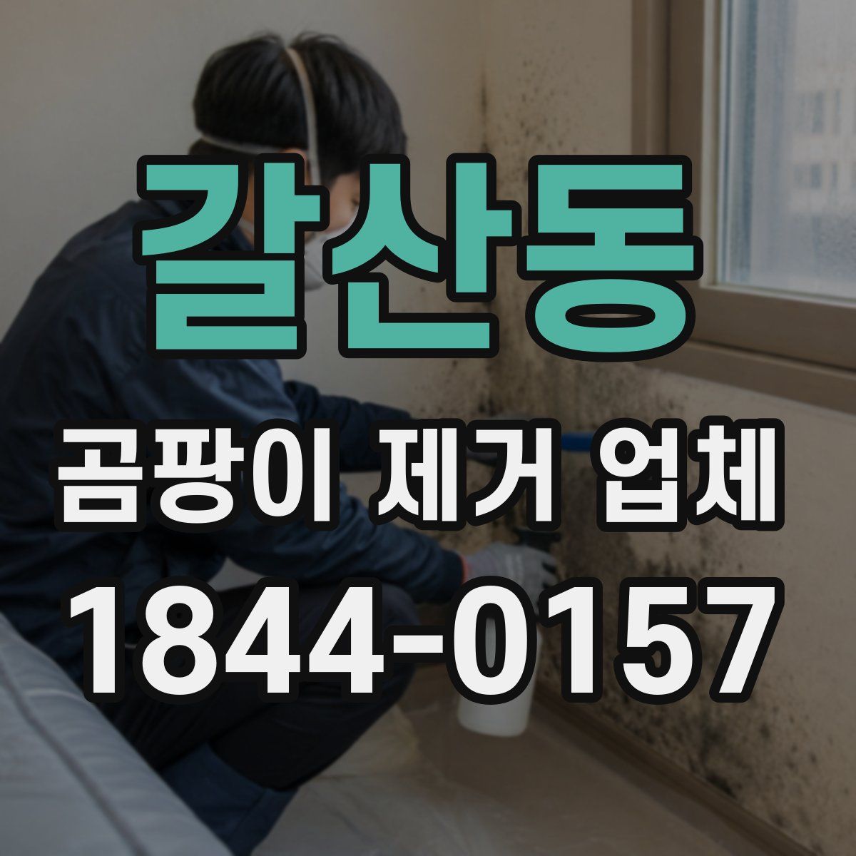 갈산동 곰팡이 제거 업체