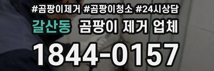 갈산동 곰팡이 제거 업체