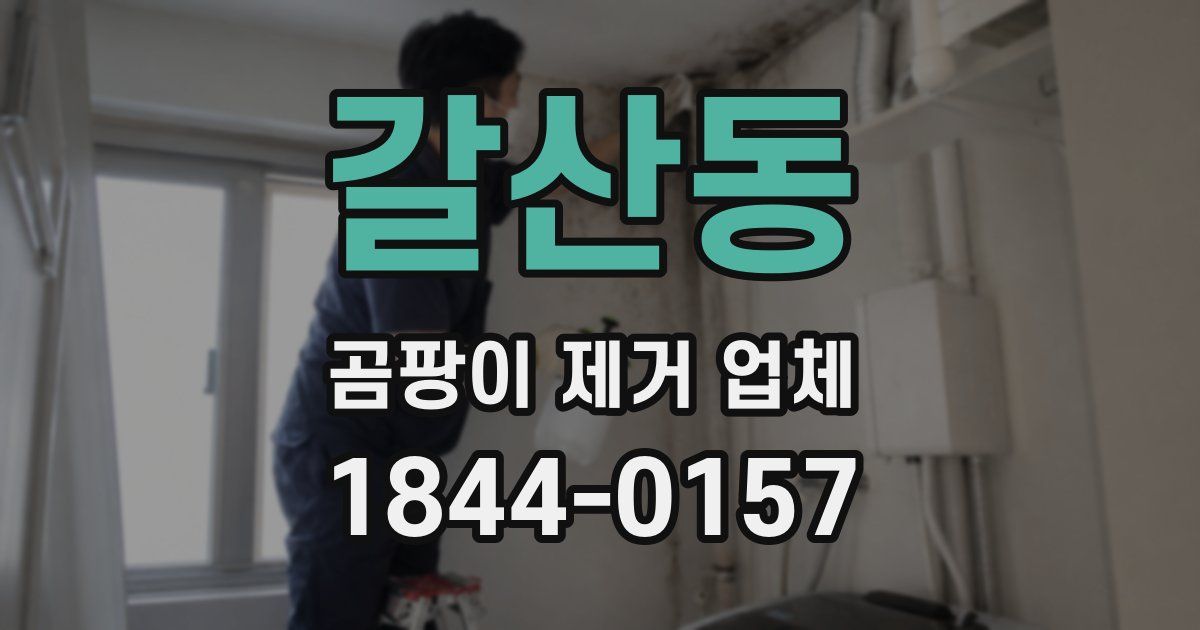 갈산동 곰팡이 제거 업체