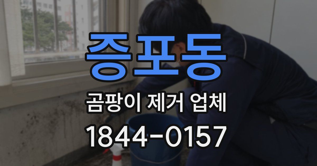 증포동 곰팡이 제거 업체
