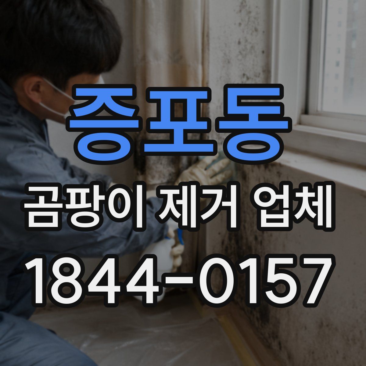 증포동 곰팡이 제거 업체