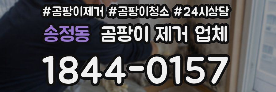 송정동 곰팡이 제거 업체